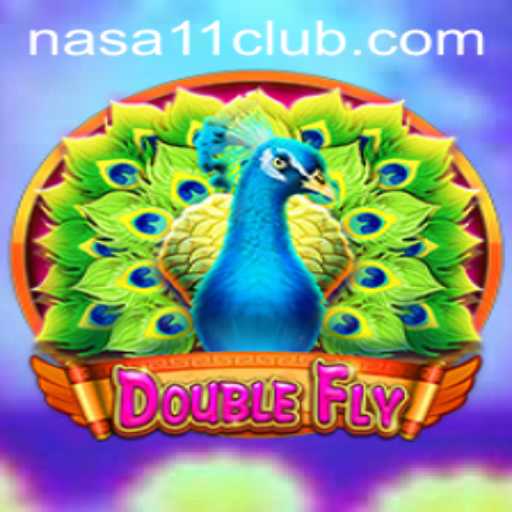 DoubleFly: An Immersive Gaming Adventure with a Touch of Space Exploration